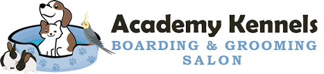 Academy Boarding Logo