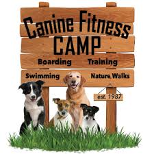 Canine Fitness Camp