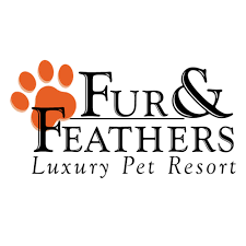 Fur Pet Resort