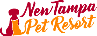 New Tampa Pet Resort