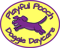 Playful Pooch Dog Daycare