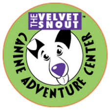 Velvet Snout