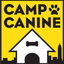 camp canine ny logo