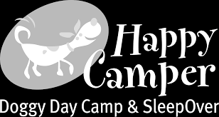 happy camper logo